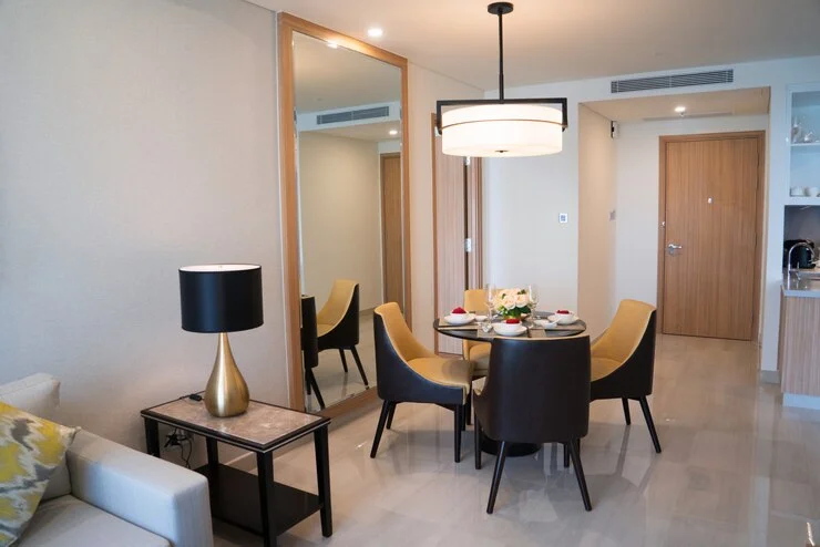 Mirrored Door Designs