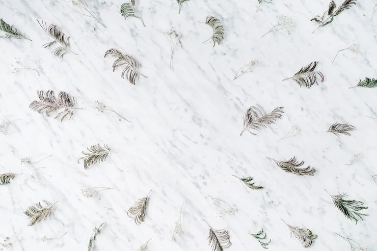 Feather Finish Countertop